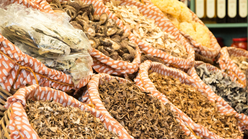 Mushroom Cultivation