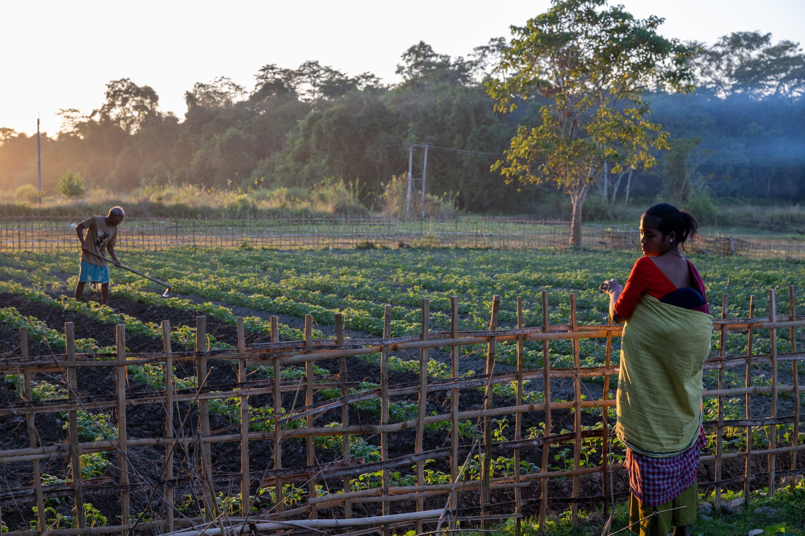 Dr Reddy's Foundation